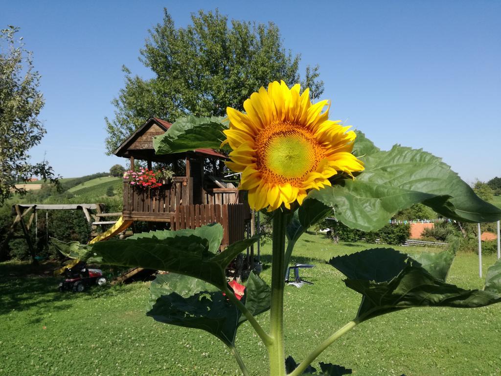Hotel Gastehaus Dobida Unterlamm  Zewnętrze zdjęcie